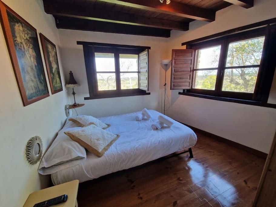 14A04 Casa De Piedra Colunga Βίλα Εξωτερικό φωτογραφία